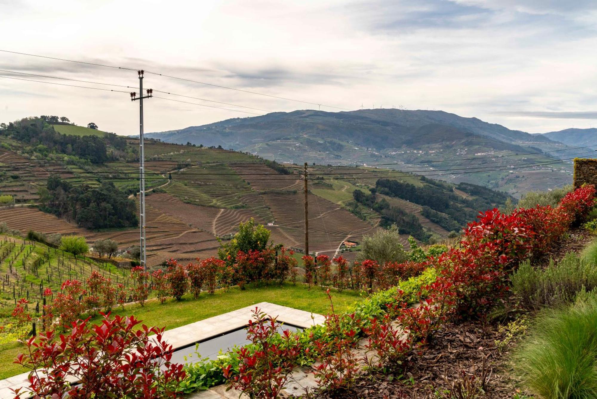 Hotel Flh Douro Casa Do Martir Vila Marim Exterior foto